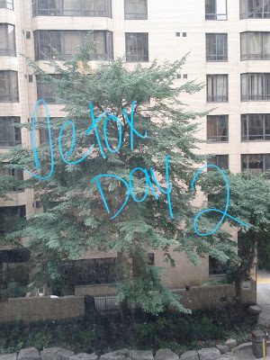 img_20110907_102034-9572938