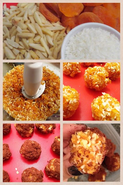 apricotcoconuttruffles-2126198