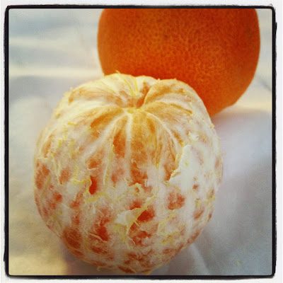 photo1252882529-4994661